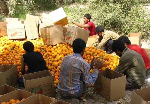 مشتری خارجی پیدا کردن