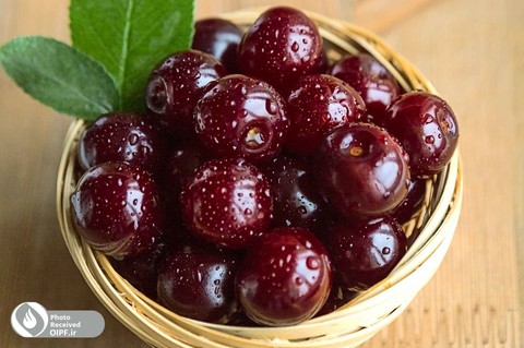 طرز تهیه لواشک